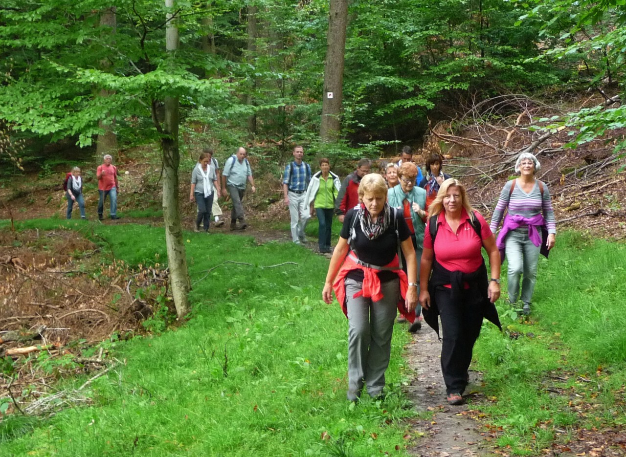 Gute Aussichten - Wanderung auf den Hahnenkamm