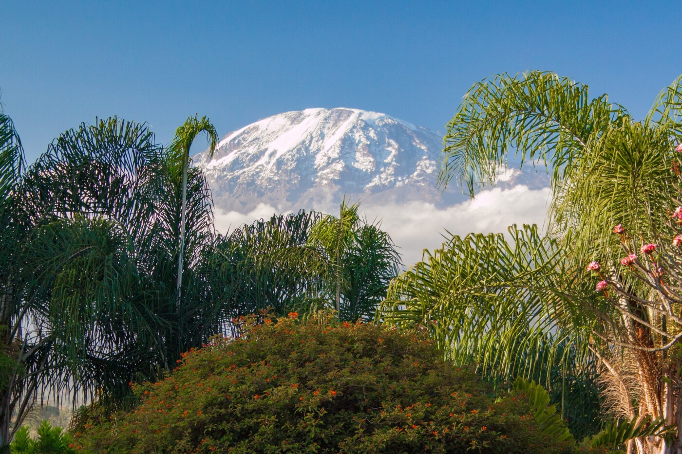 Sehnsuchtsziel Kilimandscharo