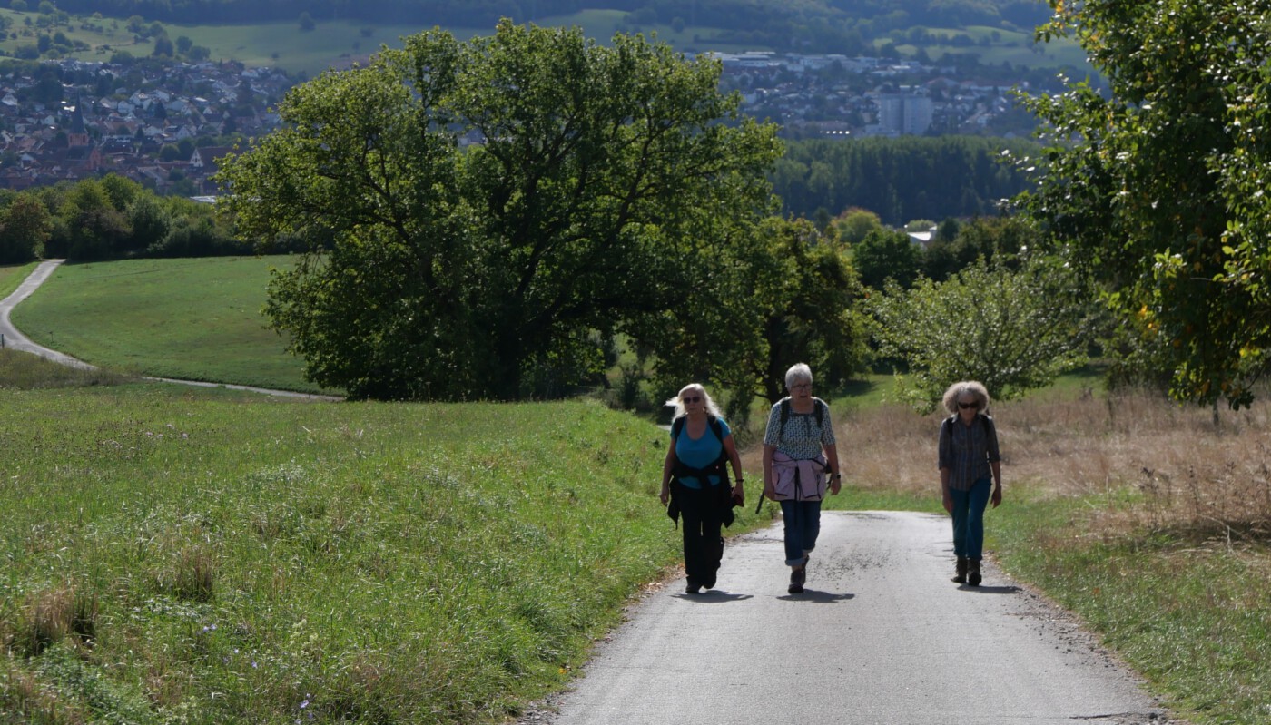 Wandern mit Franziskus